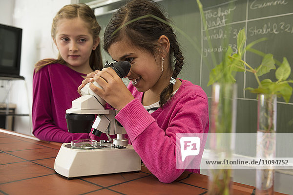 Schülerin beim Blick durch ein Mikroskop  Fürstenfeldbruck  Bayern  Deutschland