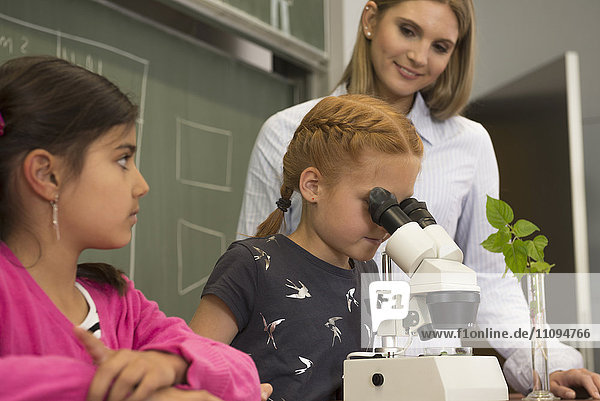 Schulmädchen mit Lehrer beim Blick durch ein Mikroskop  Fürstenfeldbruck  Bayern  Deutschland