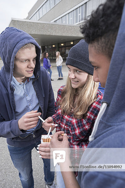 Zigaretten rauchende Studenten auf dem Campus  Bayern  Deutschland