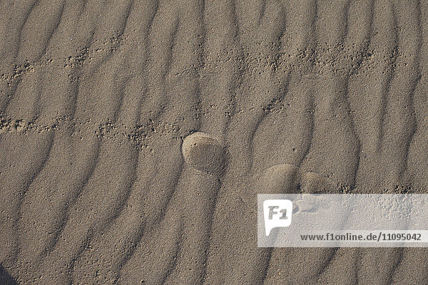 Nahaufnahme eines Fußabdrucks auf Sand am Strand  Renesse  Schouwen-Duiveland  Zeeland  Niederlande