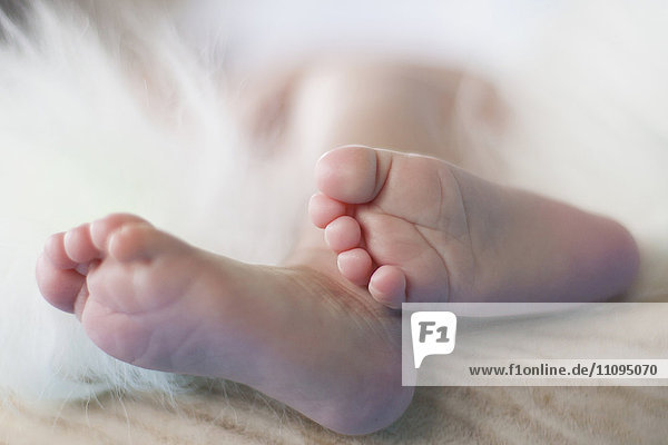 Close-up of newborn sleeping baby girl's foot  Fürstenfeldbruck  Bavaria  Germany