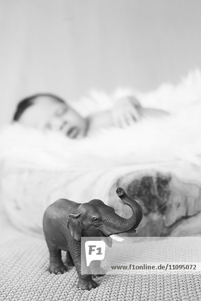 Nahaufnahme eines süßen neugeborenen Mädchens im Schlaf  Fürstenfeldbruck  Bayern  Deutschland