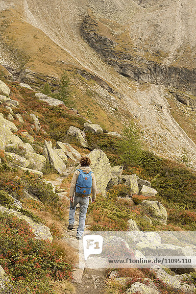 Rückansicht eines erwachsenen Wanderers  der auf einen Berg steigt  Österreichische Alpen  Zirmsee  Kärnten  Österreich