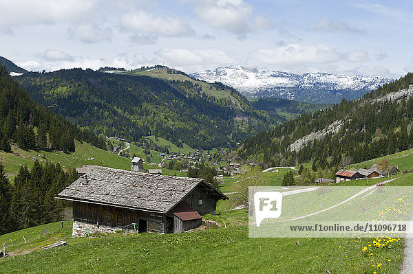 Landschaft im Frühling  Französische Alpen  Haute-Savoie  Frankreich  Europa