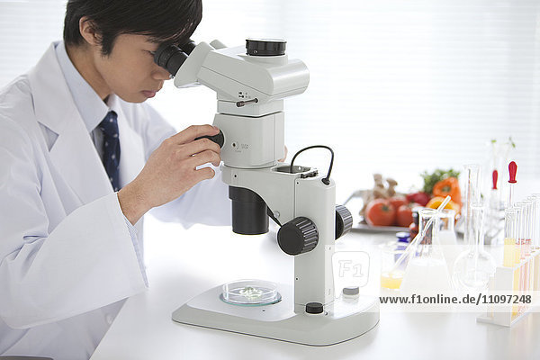 Junger männlicher Wissenschaftler mit Mikroskop im Labor