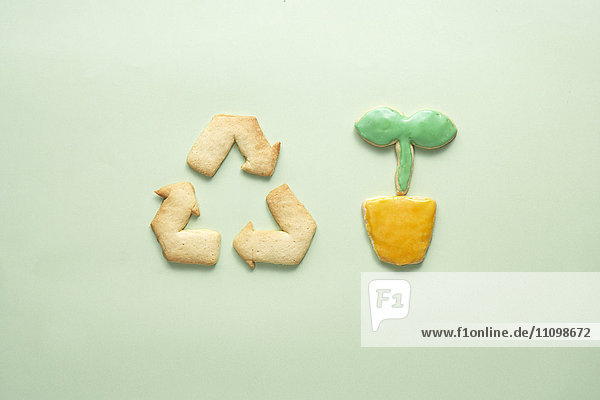 Cookies of recycling symbol and potted plant