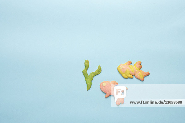 Cookies of seaweed and goldfishes