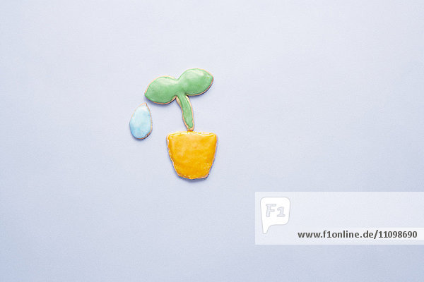 Cookies of potted plant and dew drop