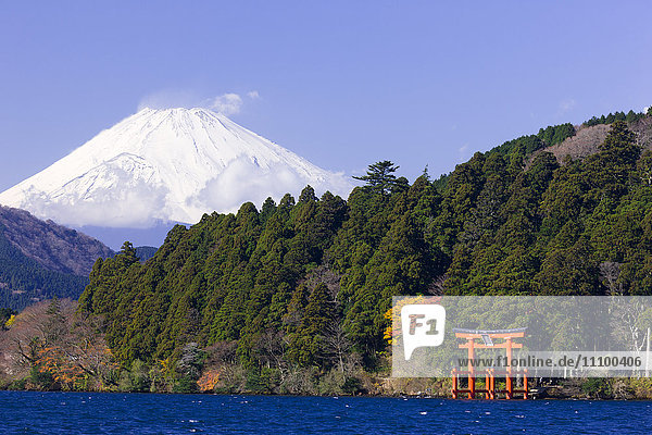Mt Fuji and Torii