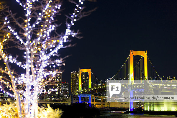 Rainbow Bridge and Christmas Lights