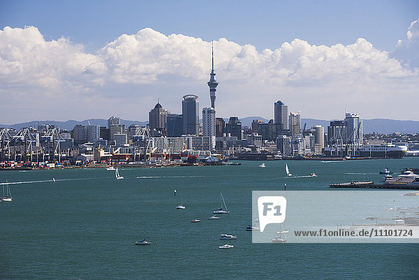 Skyline von Auckland City und Auckland Harbour von Devenport aus gesehen  Nordinsel  Neuseeland  Pazifik