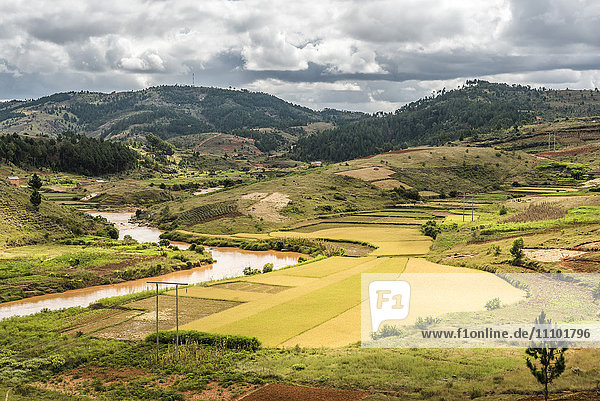 Reisfeldlandschaft in der Nähe von Antananarivo  Provinz Antananarivo  Ost-Madagaskar  Afrika