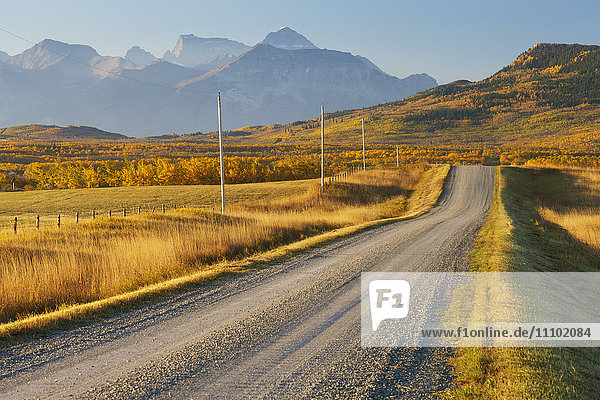 Landstraße durch eine bergige Landschaft  in der Nähe von Twin Butte  Alberta  Kanada  Nordamerika