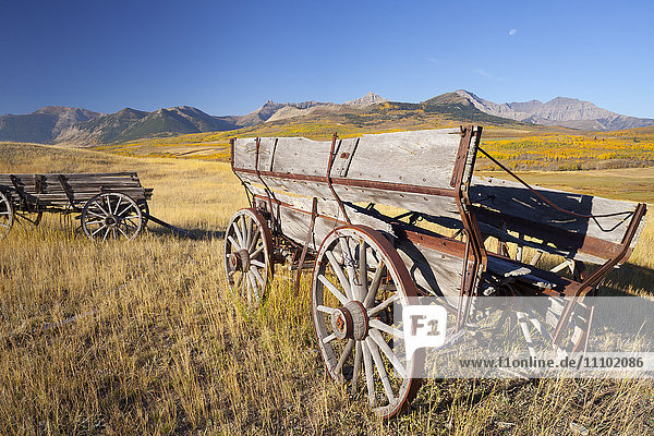Old horse-drawn wagons with the Rocky Mountains in the background  near Waterton Lakes National Park  Alberta  Canada  North America