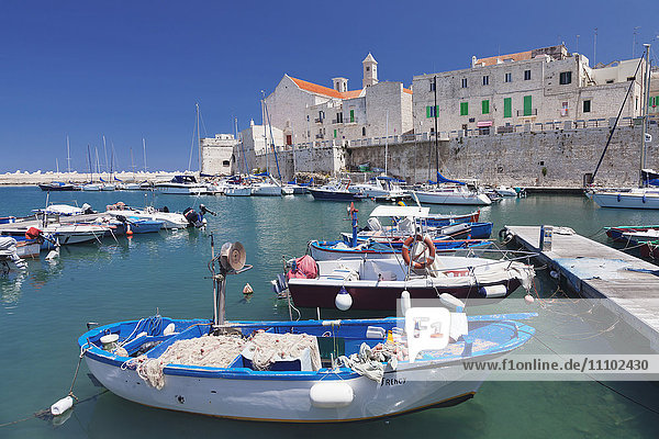 Fischerboote am Hafen  Altstadt mit Kathedrale  Giovinazzo  Bezirk Bari  Apulien  Italien  Europa
