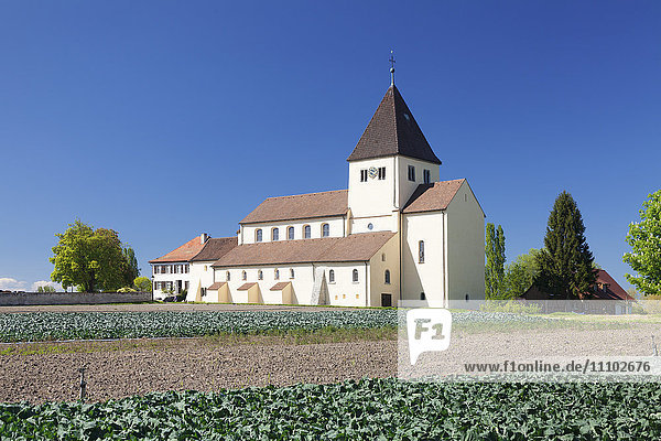 Kirche St. Georg  Oberzell  UNESCO-Welterbe  Insel Reichenau  Bodensee  Baden-Württemberg  Deutschland  Europa