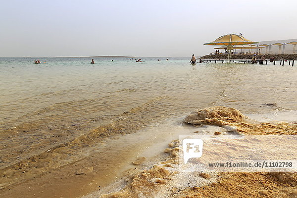 Badende im Toten Meer  mit salzigem Ufer  Strand Ein Bokek (En Boqeq)  Israel  Naher Osten