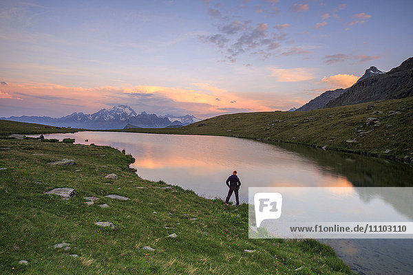 Hiker on the shore admires the pink colors of dawn reflected in Lake Campagneda  Malenco Valley  Valtellina  Lombardy  Italy  Europe