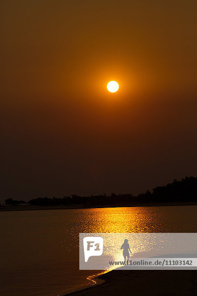 Sunset over the Tapajos river  Amazon  Alter do Chao  Para  Brazil  South America