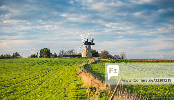 Windmill in Great Haseley in Oxfordshire  England  United Kingdom  Europe