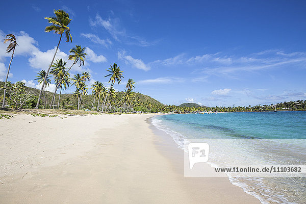 Der lange Strand  umgeben von Palmen und dem Karibischen Meer  Morris Bay  Antigua und Barbuda  Leeward-Inseln  Westindien  Karibik  Mittelamerika