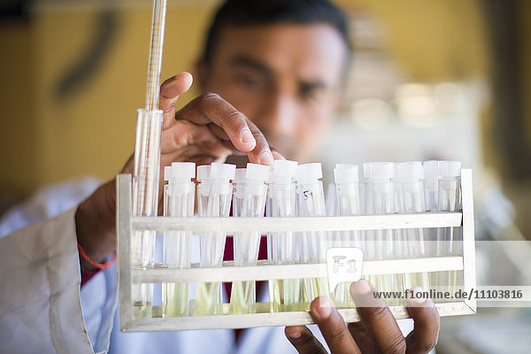 Ein Labortechniker arbeitet in einem Labor in einem kleinen Krankenhaus in Nepal und hält ein Regal mit Reagenzgläsern  Jiri  Solu Khumbu  Nepal  Asien