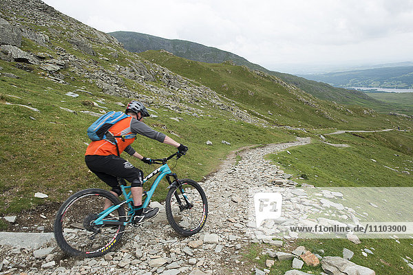 A mountain biker descends the trail from The Old Man of Coniston in the Lake District National Park  Cumbria  England  United Kingdom  Europe