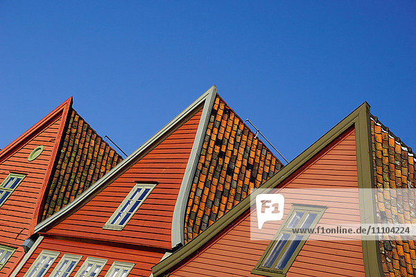 Traditional wooden Hanseatic merchants buildings of the Bryggen  UNESCO World Heritage Site  Bergen  Hordaland  Norway  Scandinavia  Europe