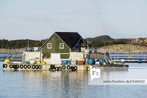 Fischzuchtbetrieb mit schwimmendem Haus  Aversund Fjord  bei Bergen  Hordaland  Norwegen  Skandinavien  Europa