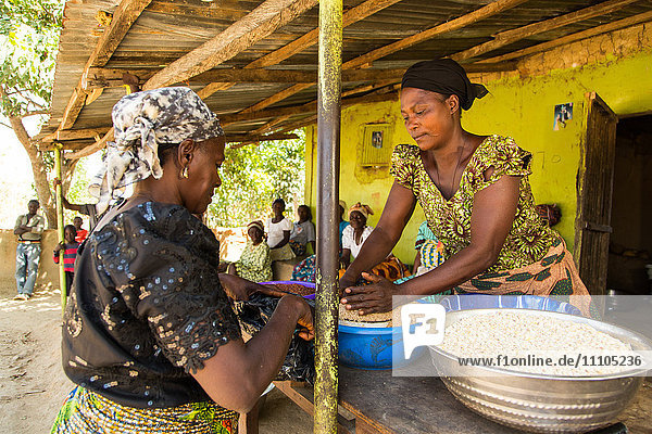 Zwei Frauen handeln auf dem Markt von Baba Peter Keita  Madakiya  Nigeria  Westafrika  Afrika
