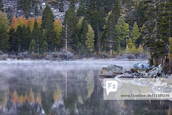 Rock Creek Lake im Herbst mit Nebel  Inyo National Forest  Kalifornien  Vereinigte Staaten von Amerika  Nordamerika