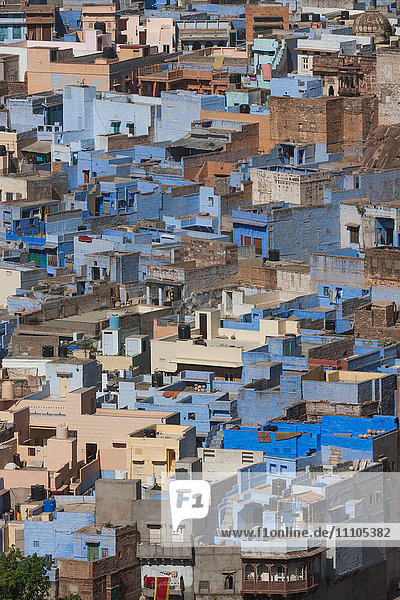 Die traditionellen blau getünchten Häuser von Jodhpur  Rajasthan  Indien  Asien