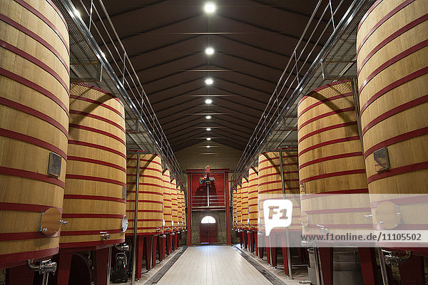 Weinfässer in einer Bodega in Rioja  Spanien  Europa