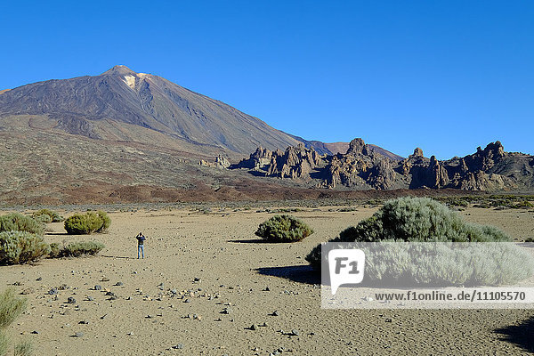 Teide volcano  Teide National Park  Tenerife  Canary Islands  Spain  Europe
