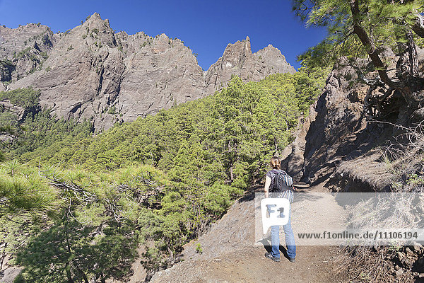 Wanderer auf einem Wanderweg von Los Brecitos durch die Caldera de Taburiente  Parque Nacional de la Caldera de Taburiente  UNESCO-Biosphärenreservat  La Palma  Kanarische Inseln  Spanien  Europa