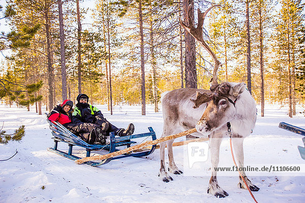 Ehepaar auf Rentier-Safari  Kakslauttanen Iglu-Dorf  Saariselka  Finnland  Skandinavien  Europa