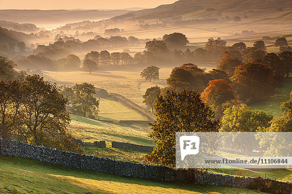 The Littondale Valley lit by the early morning light on a misty autumn morning in the Yorkshire Dales Yorkshire England United Kingdom Europe