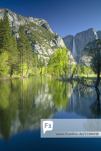 Yosemite-Wasserfälle und Merced River im Frühling  Yosemite-Nationalpark  UNESCO-Welterbe  Kalifornien  Vereinigte Staaten von Amerika  Nordamerika