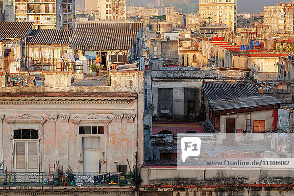 Ein Mann kommt im frühen Morgenlicht aus seinem Haus auf dem Dach in Havanna  Kuba  Westindien  Karibik  Mittelamerika