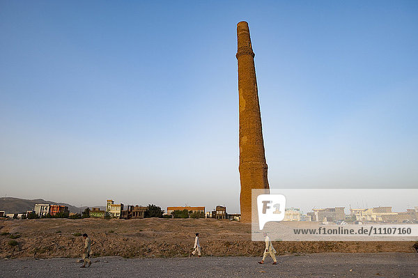 Minarett in Herat  Afghanistan  Asien