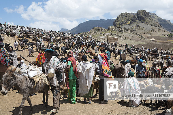 Open market on the treck to Abuna Yosef  Lalibela area  Northern Ethiopia  Africa