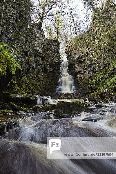 Mill Gill Force Wasserfall  Askrigg  Wensleydale  North Yorkshire  Yorkshire  England  Vereinigtes Königreich  Europa