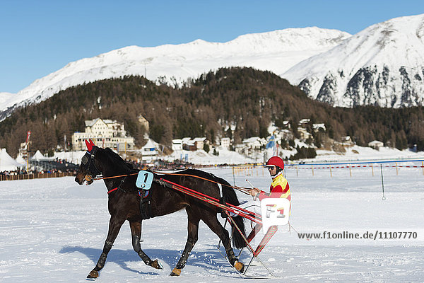 Trap Veranstaltung  White Turf Internationales Pferderennen  Winter  St. Moritz  Engadin  Graubünden  Schweiz  Europa