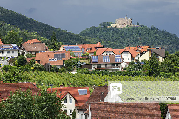 Dorf St. Martin inmitten von Weinbergen in der Pfalz  Deutschland  Europa