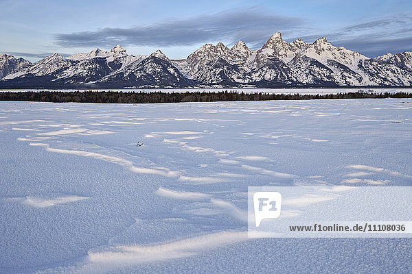 Tetons at dawn in the winter,  Grand Teton National Park,  Wyoming,  United States of America,  North America