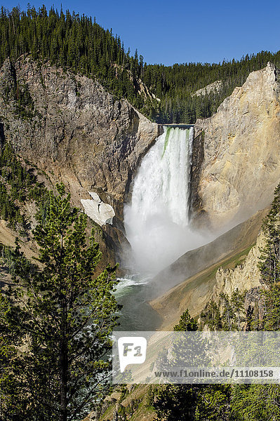 Lower Falls  Yellowstone National Park  UNESCO World Heritage Site  Wyoming  United States of America  North America