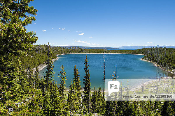 Duck Lake in Yellowstone National Park  UNESCO World Heritage Site  Wyoming  United States of America  North America