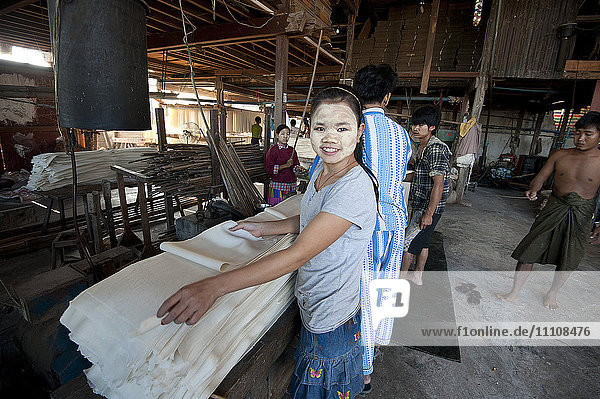 Lächelnde Frau mit Thanaka-Paste im Gesicht  die Blätter mit gepresstem  gekochtem Reis in einer Reisnudelfabrik faltet  Hsipaw  Shan-Staat  Myanmar (Birma)  Asien