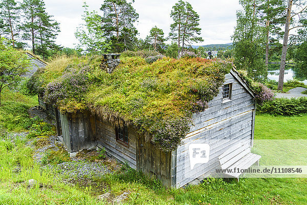 Sunnmore Museum  in dem mehr als fünfzig traditionelle Gebäude auf dem Gelände des alten Handelszentrums Borgundkaupangen eingerichtet wurden  Alesund  More og Romsdal  Norwegen  Skandinavien  Europa
