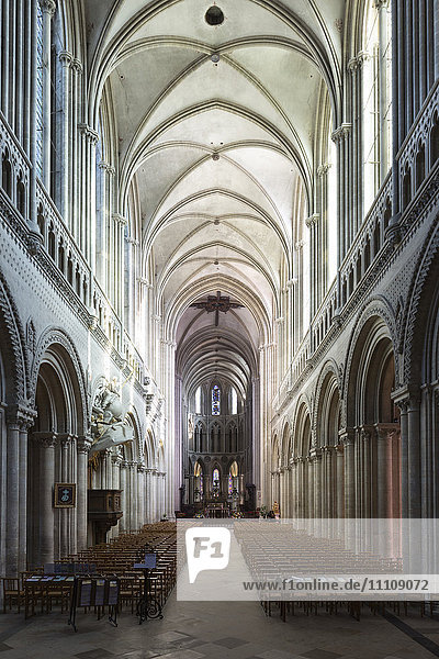 Nave of the Notre-Dame Cathedral  Bayeux  Normandy  France  Europe